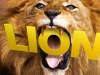 Get Apple’s Newly Released OSX 10.7.4 Lion Update Now